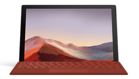峡江清洁和维护 Surface